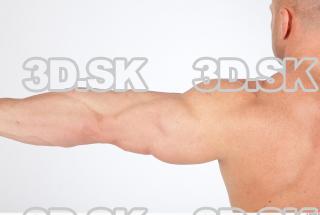 Arm texture of Dale 0002